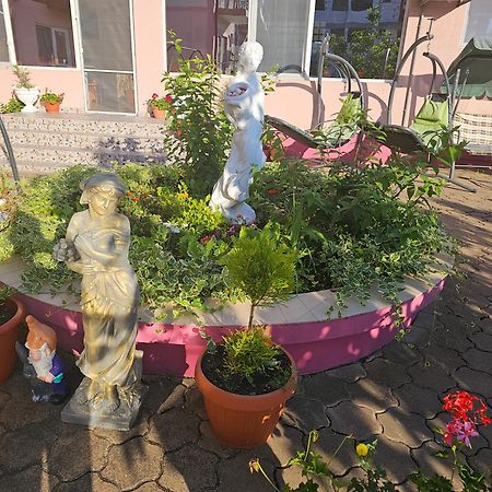 Vila Fery Costinesti Buitenkant foto