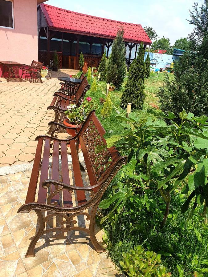 Vila Fery Costinesti Buitenkant foto